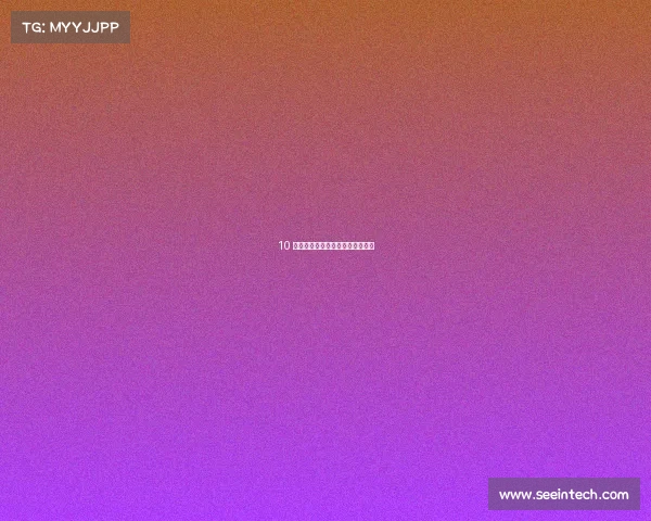 10 款超级便宜、公路赛道兼具的汽车