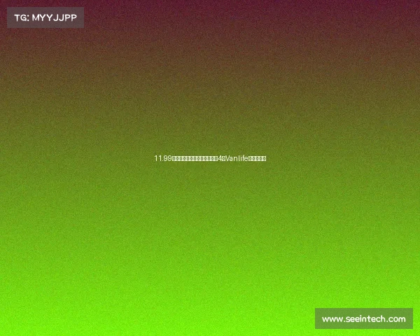 11.99万元起，年轻人的潮流单品，4款Vanlife宿营车推荐