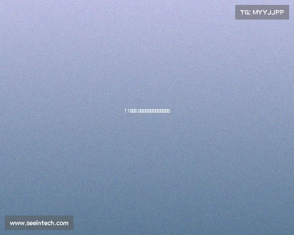 11月上市 斯柯达国产全新速派实车曝光